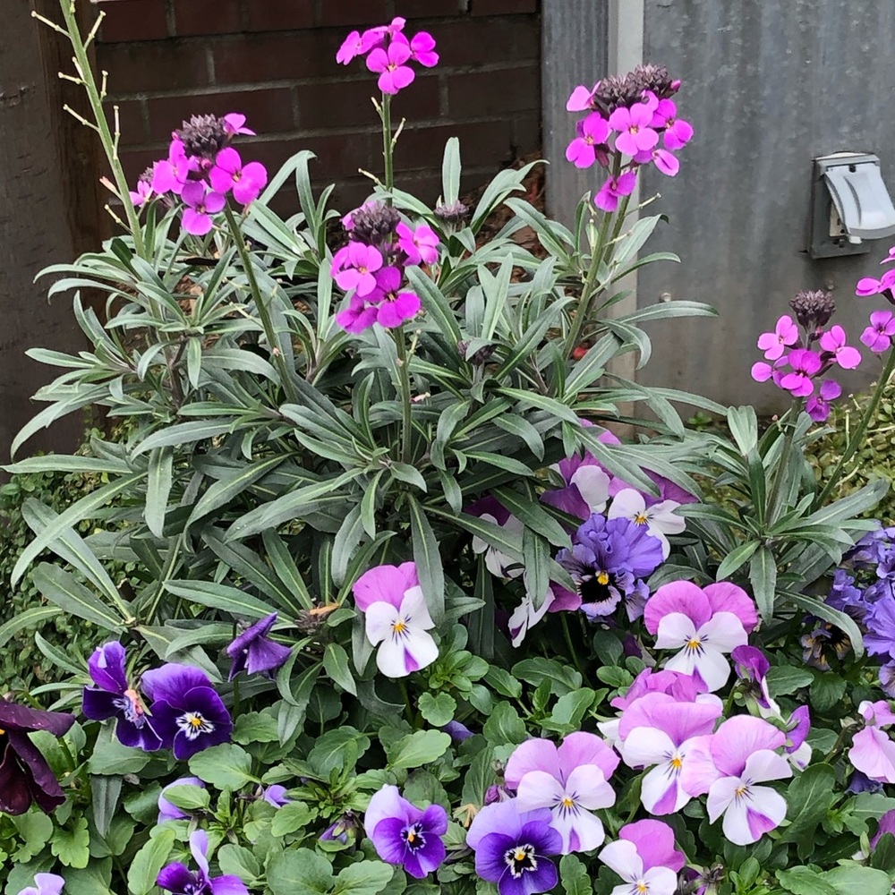 Meet your Posher, Jayne